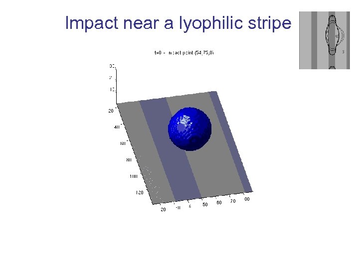 Impact near a lyophilic stripe 