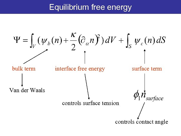 Equilibrium free energy bulk term interface free energy surface term Van der Waals controls