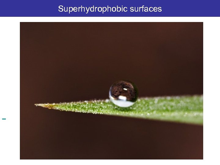 Superhydrophobic surfaces 