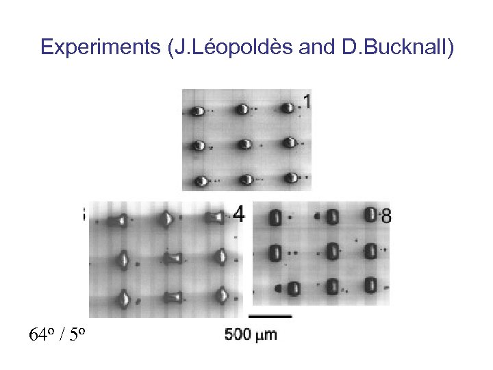 Experiments (J. Léopoldès and D. Bucknall) 64 o / 5 o 
