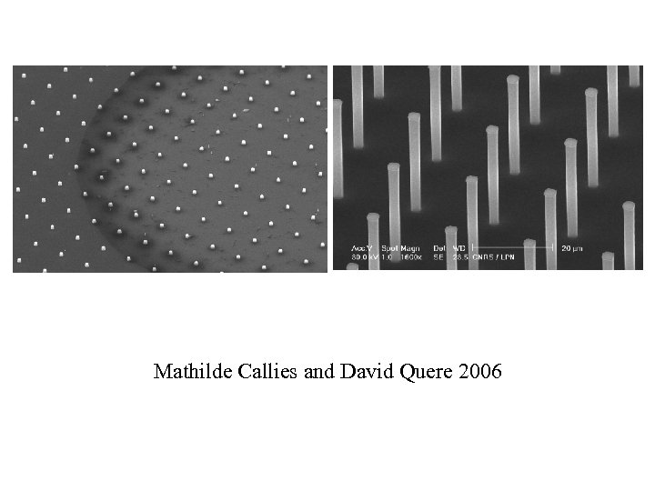 Mathilde Callies and David Quere 2006 