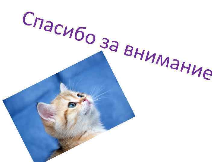 Спас ибо за вним ание 