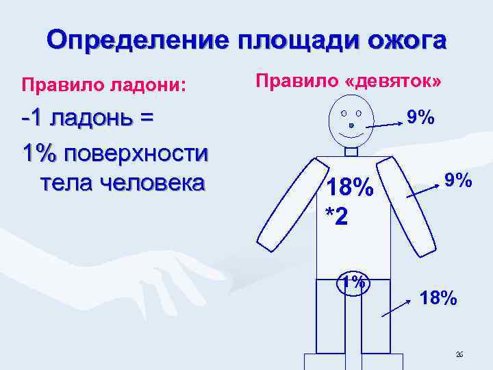 Определение площади ожога Правило ладони: -1 ладонь = 1% поверхности тела человека Правило «девяток»