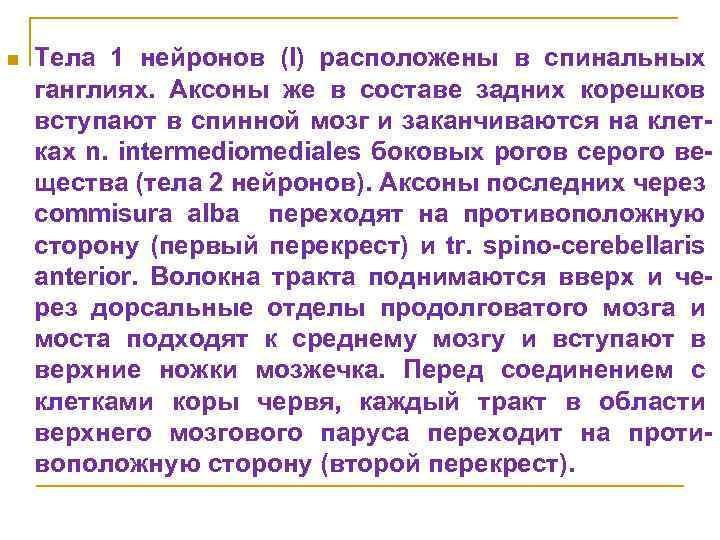 n Тела 1 нейронов (I) расположены в спинальных ганглиях. Аксоны же в составе задних