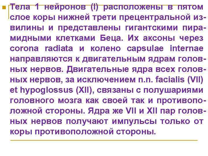 n Тела 1 нейронов (I) расположены в пятом слое коры нижней трети прецентральной извилины