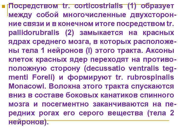 n Посредством tr. corticostrialis (1) образует между собой многочисленные двухсторонние связи и в конечном