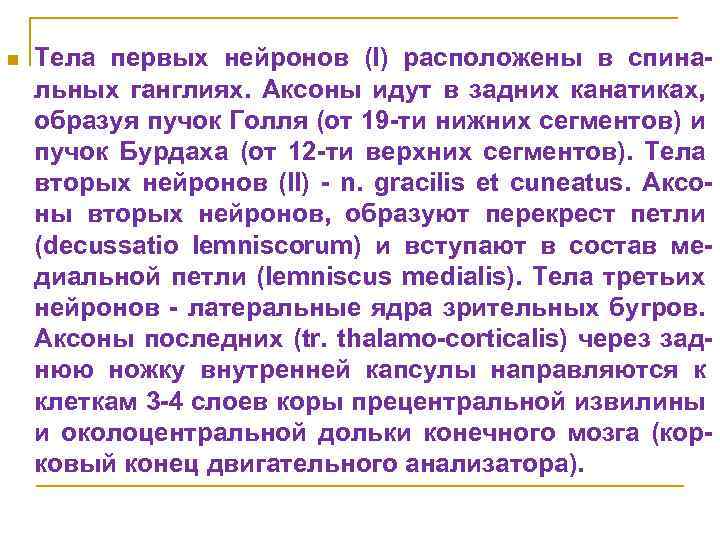 n Тела первых нейронов (I) расположены в спинальных ганглиях. Аксоны идут в задних канатиках,