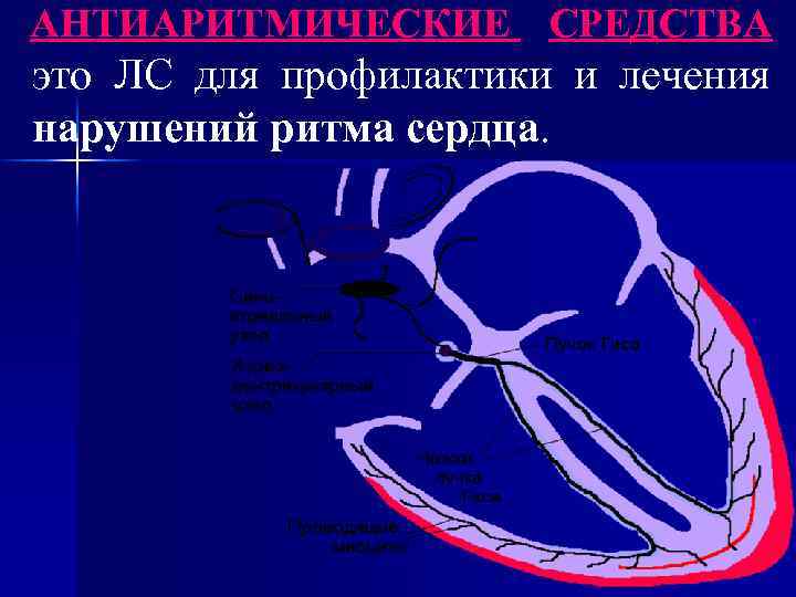 АНТИАРИТМИЧЕСКИЕ СРЕДСТВА это ЛС для профилактики и лечения нарушений ритма сердца. 