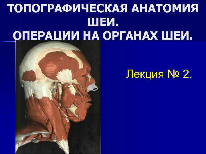 ТОПОГРАФИЧЕСКАЯ АНАТОМИЯ ШЕИ. ОПЕРАЦИИ НА ОРГАНАХ ШЕИ. Лекция № 2. 