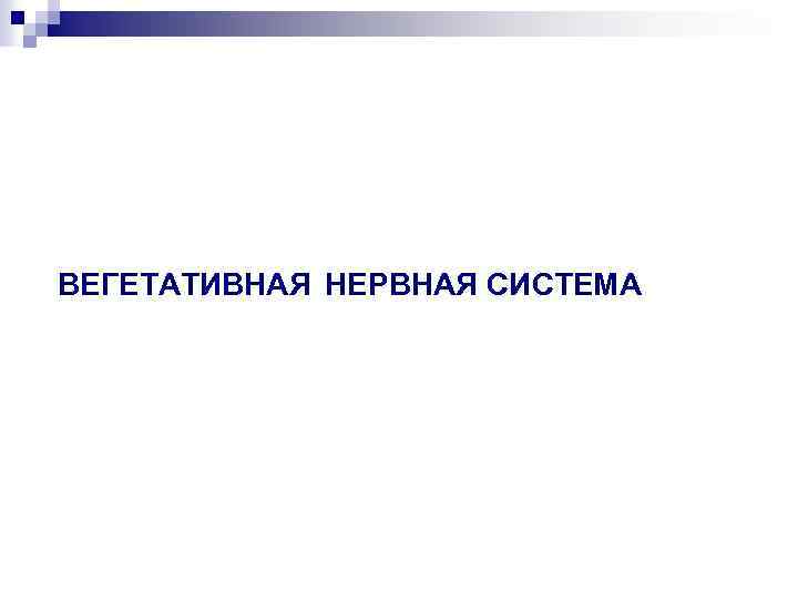 ВЕГЕТАТИВНАЯ НЕРВНАЯ СИСТЕМА 