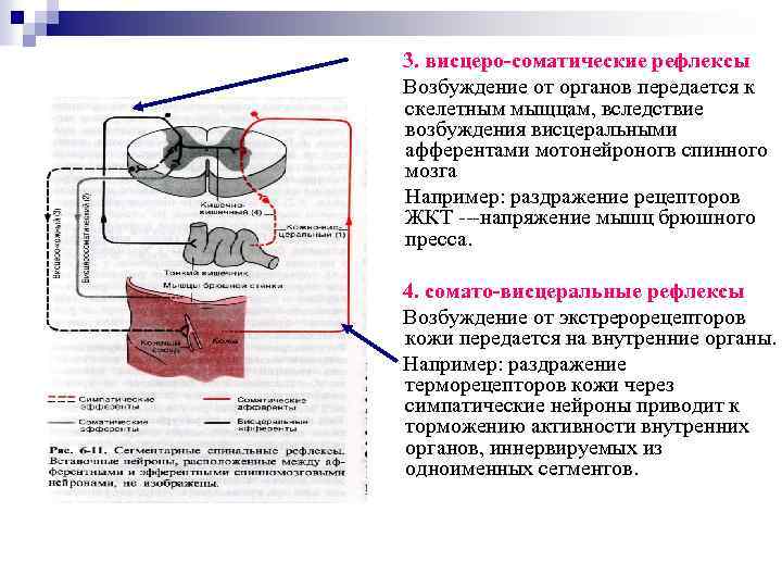 Возбуждение органа