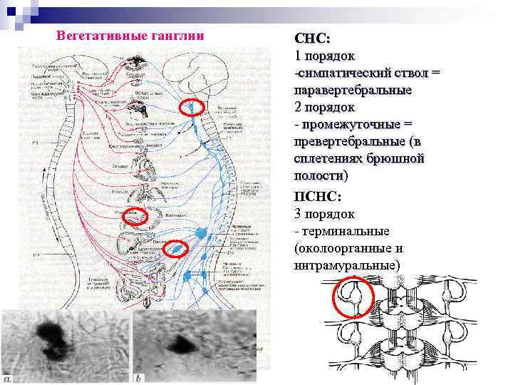 Принципиальная схема внс