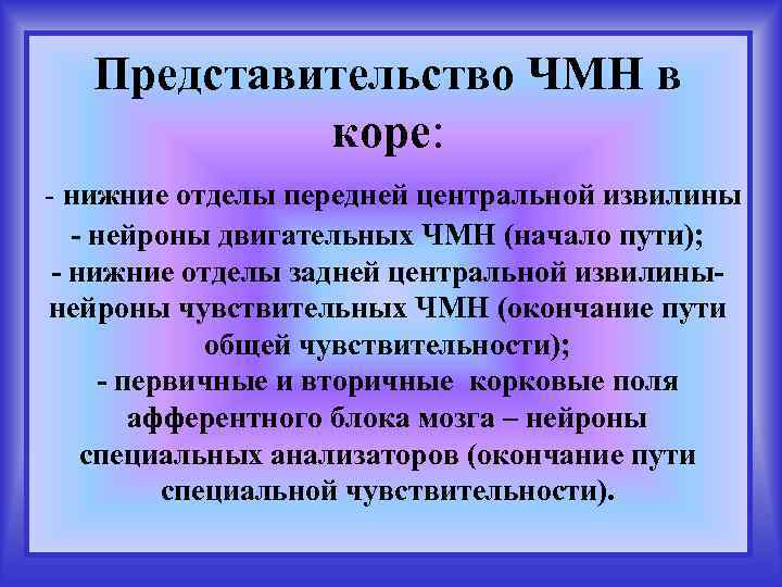 Представительство ЧМН в коре: - нижние отделы передней центральной извилины - нейроны двигательных ЧМН