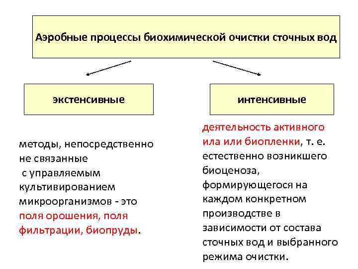 Аэробные процессы биохимической очистки сточных вод экстенсивные интенсивные методы, непосредственно не связанные с управляемым