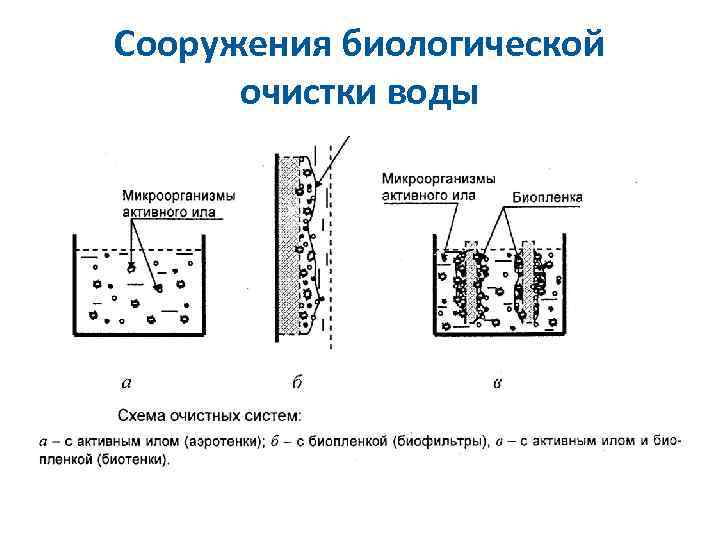 Сооружения биологической очистки воды 