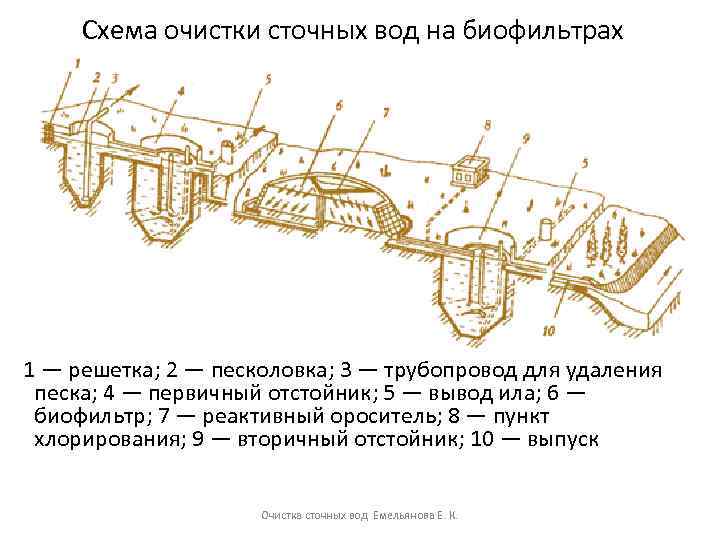 Схема очистки сточных вод на биофильтрах 1 — решетка; 2 — песколовка; 3 —