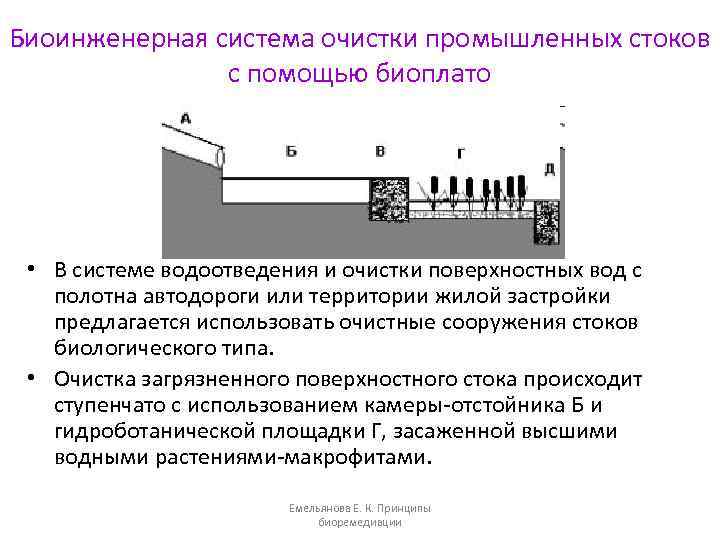 Биоинженерная система очистки промышленных стоков с помощью биоплато • В системе водоотведения и очистки