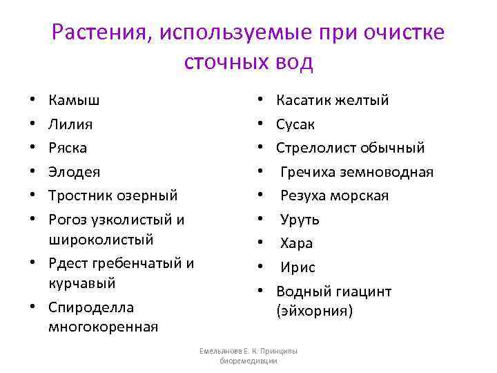 Растения, используемые при очистке сточных вод Камыш Лилия Ряска Элодея Тростник озерный Рогоз узколистый