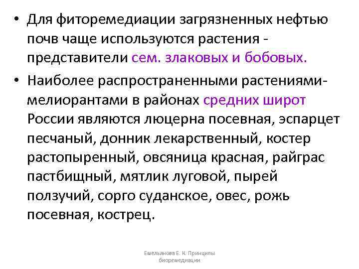  • Для фиторемедиации загрязненных нефтью почв чаще используются растения представители сем. злаковых и