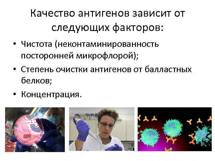 Качество антигенов зависит от следующих факторов: • Чистота (неконтаминированность посторонней микрофлорой); • Степень очистки