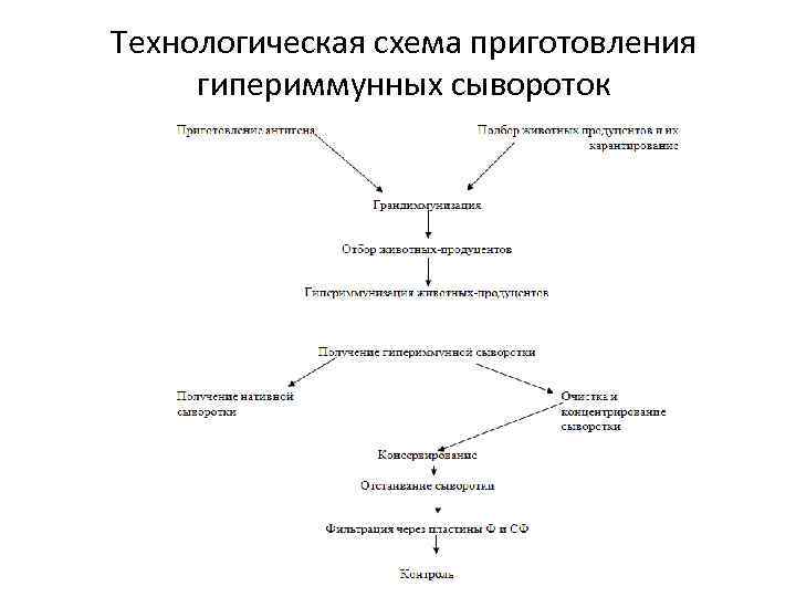 Технологическая схема сыворотки