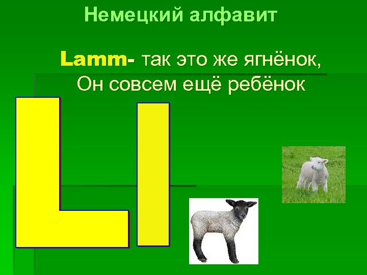 Немецкий алфавит Lamm- так это же ягнёнок, Он совсем ещё ребёнок 