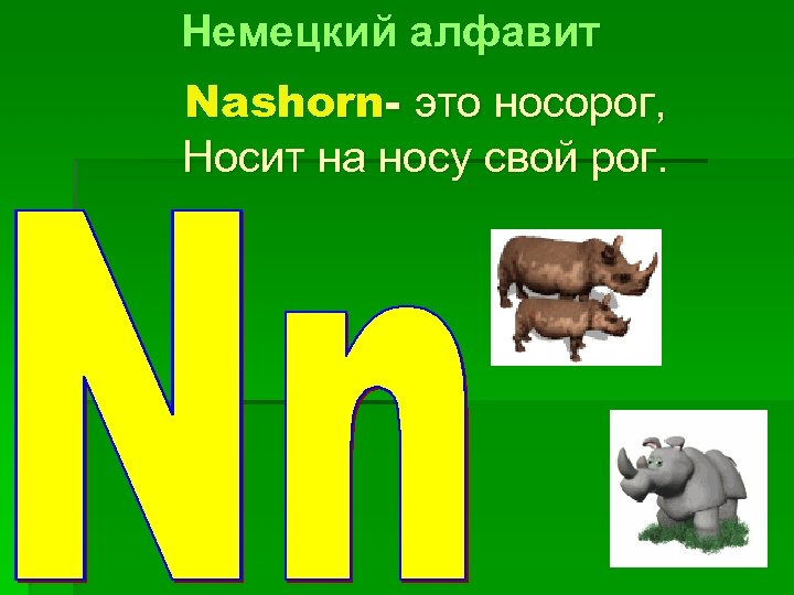 Немецкий алфавит Nashorn- это носорог, Носит на носу свой рог. 