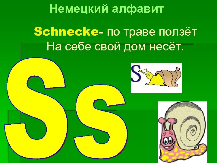 Немецкий алфавит Schnecke- по траве ползёт На себе свой дом несёт. 