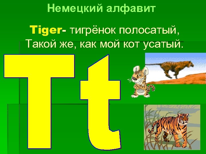 Немецкий алфавит Tiger- тигрёнок полосатый, Такой же, как мой кот усатый. 