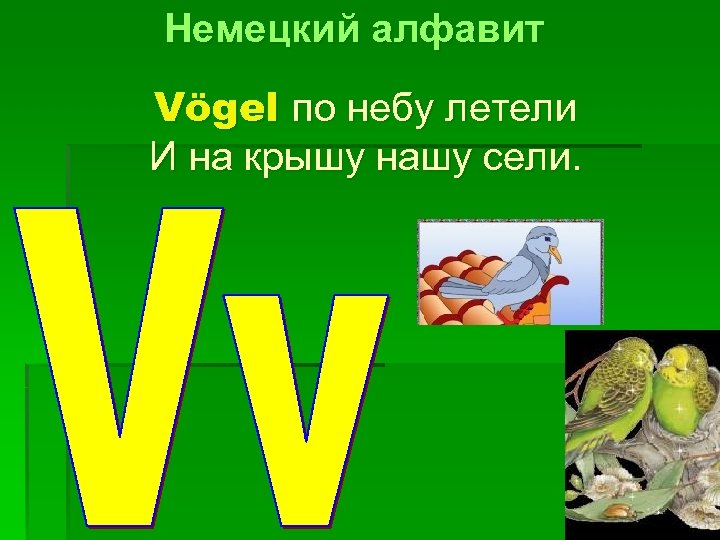 Немецкий алфавит Vögel по небу летели И на крышу нашу сели. 