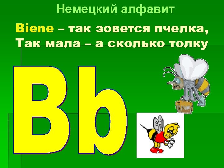 Немецкий алфавит Biene – так зовется пчелка, Так мала – а сколько толку 