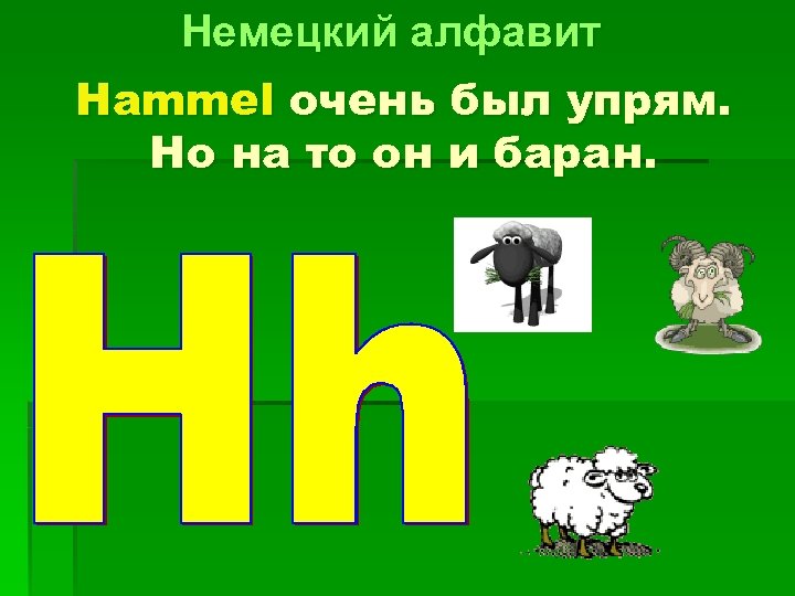 Немецкий алфавит Hammel очень был упрям. Но на то он и баран. 