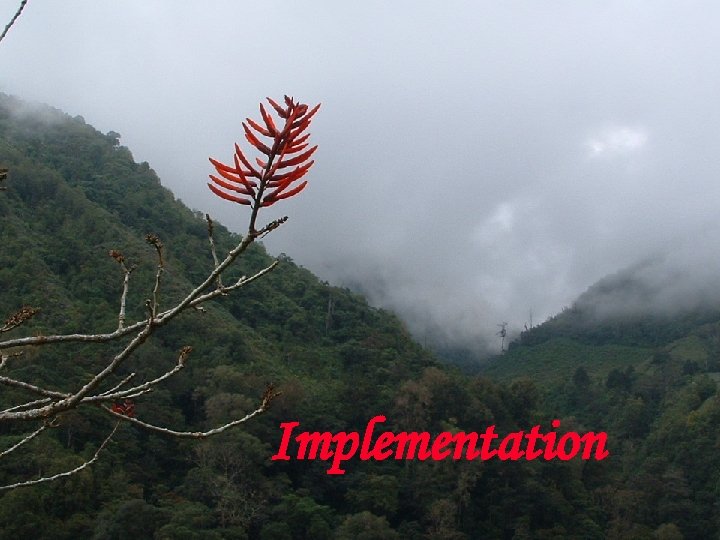 Implementation 