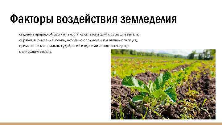 Суть природного земледелия. Земледелие результат влияния на природу. Отрицательное влияние земледелия на природу. Результат земледелия. Факторы земледелия.