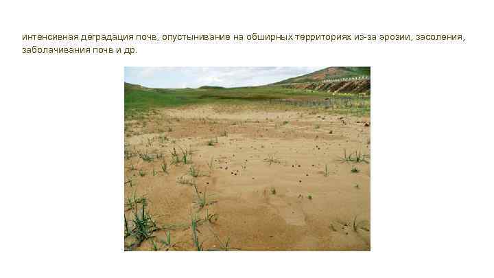 интенсивная деградация почв, опустынивание на обширных территориях из-за эрозии, засоления, заболачивания почв и др.