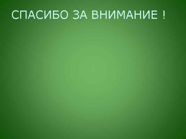 СПАСИБО ЗА ВНИМАНИЕ ! 