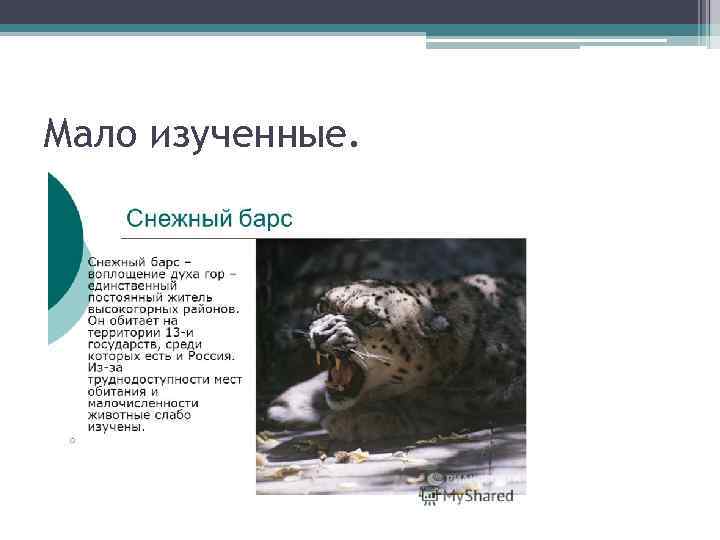 Мало изученные. 