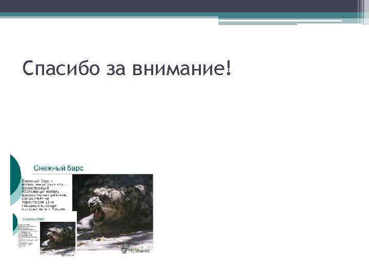 Спасибо за внимание! 