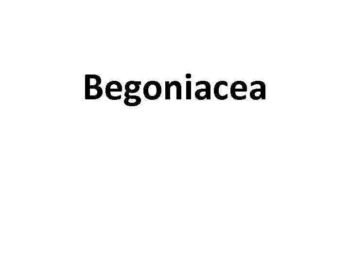 Begoniacea 