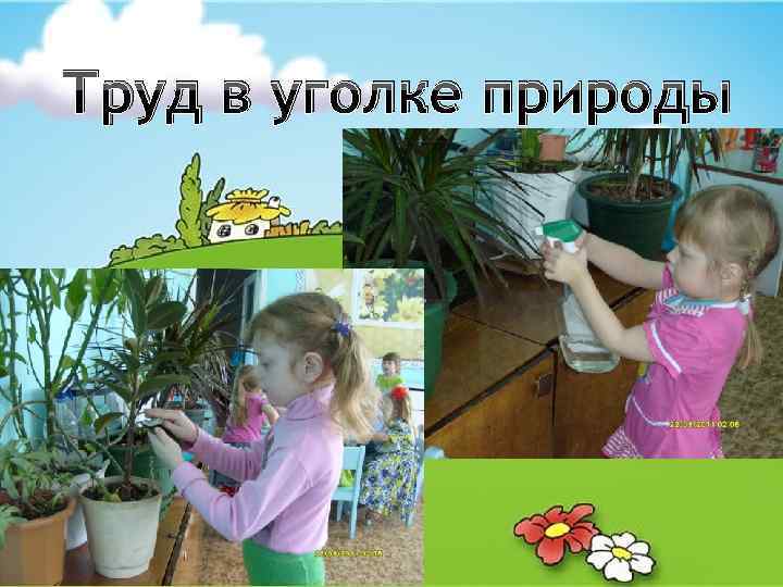 Труд в уголке природы 