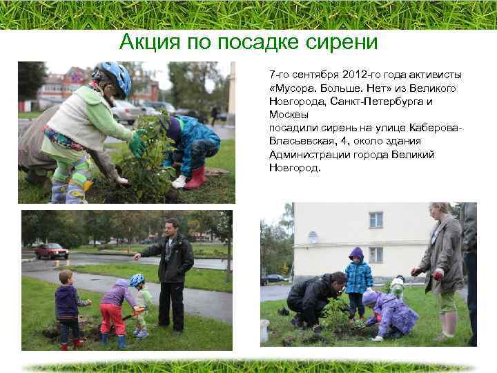 Акция по посадке сирени 7 -го сентября 2012 -го года активисты «Мусора. Больше. Нет»