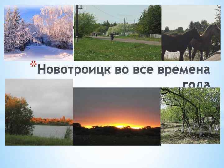 *Новотроиц во все времена года * 