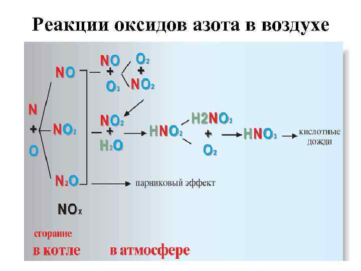 Цепочка реакций с азотом. Реакции с азотом. Реакции с оксидами азота. Образование оксида азота. Реакции оксидов.