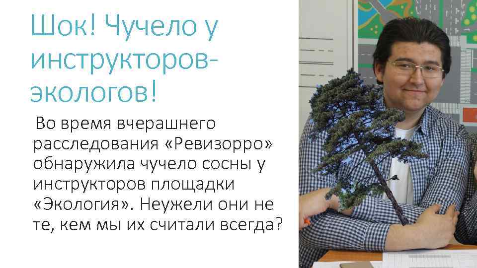 Шок! Чучело у инструкторовэкологов! Во время вчерашнего расследования «Ревизорро» обнаружила чучело сосны у инструкторов