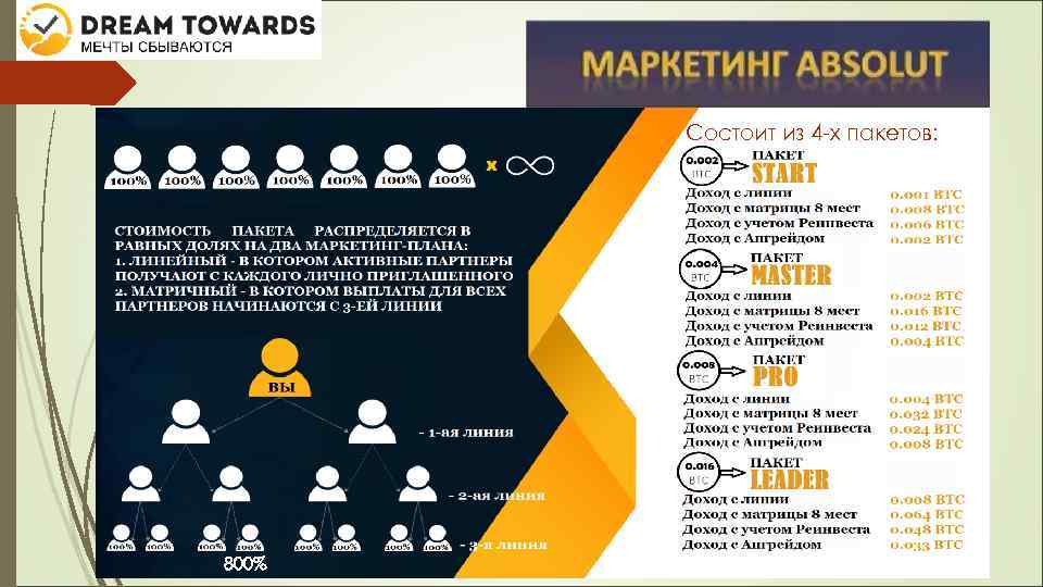 Состоит из 4 -х пакетов: 800% 