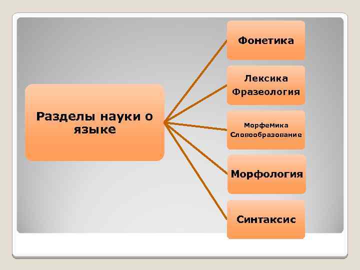 Фонетика Лексика Фразеология Разделы науки о языке Морфемика Словообразование Морфология Синтаксис 