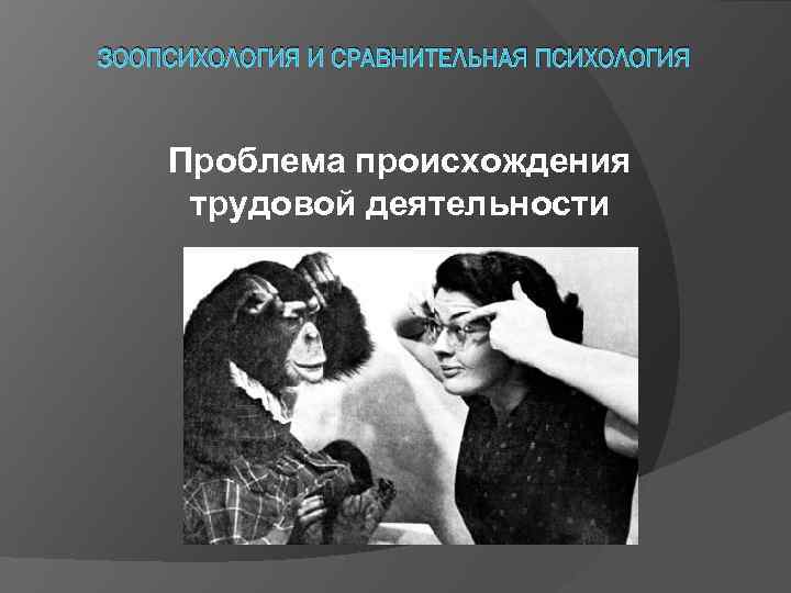 Сравнительная психология. Зоопсихология. Психология животных. Сравнительная зоопсихология.