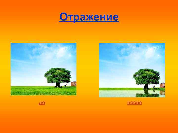 Отражение до после 
