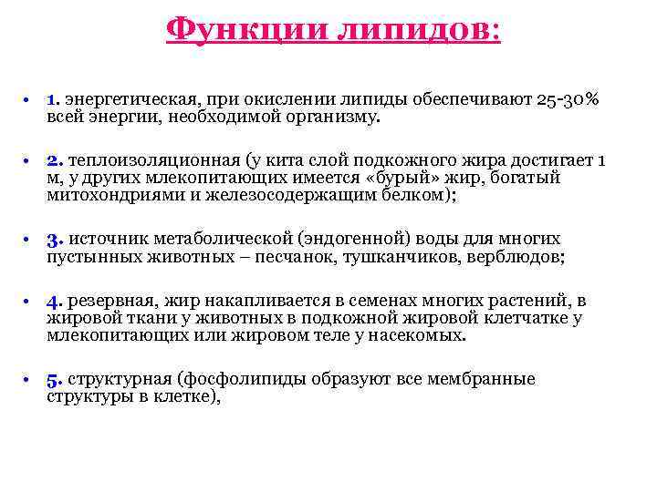 Функции липидов: • 1. энергетическая, при окислении липиды обеспечивают 25 -30% всей энергии, необходимой