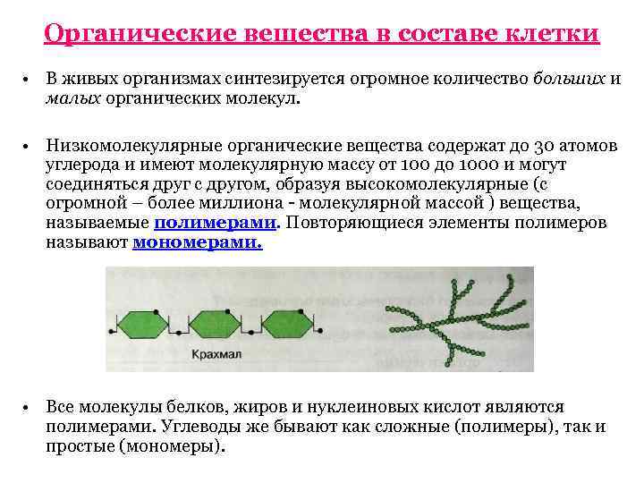 Органические вещества в составе клетки • В живых организмах синтезируется огромное количество больших и